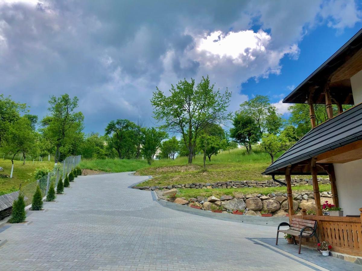 Pensiunea Roca Maramures Deseşti Extérieur photo