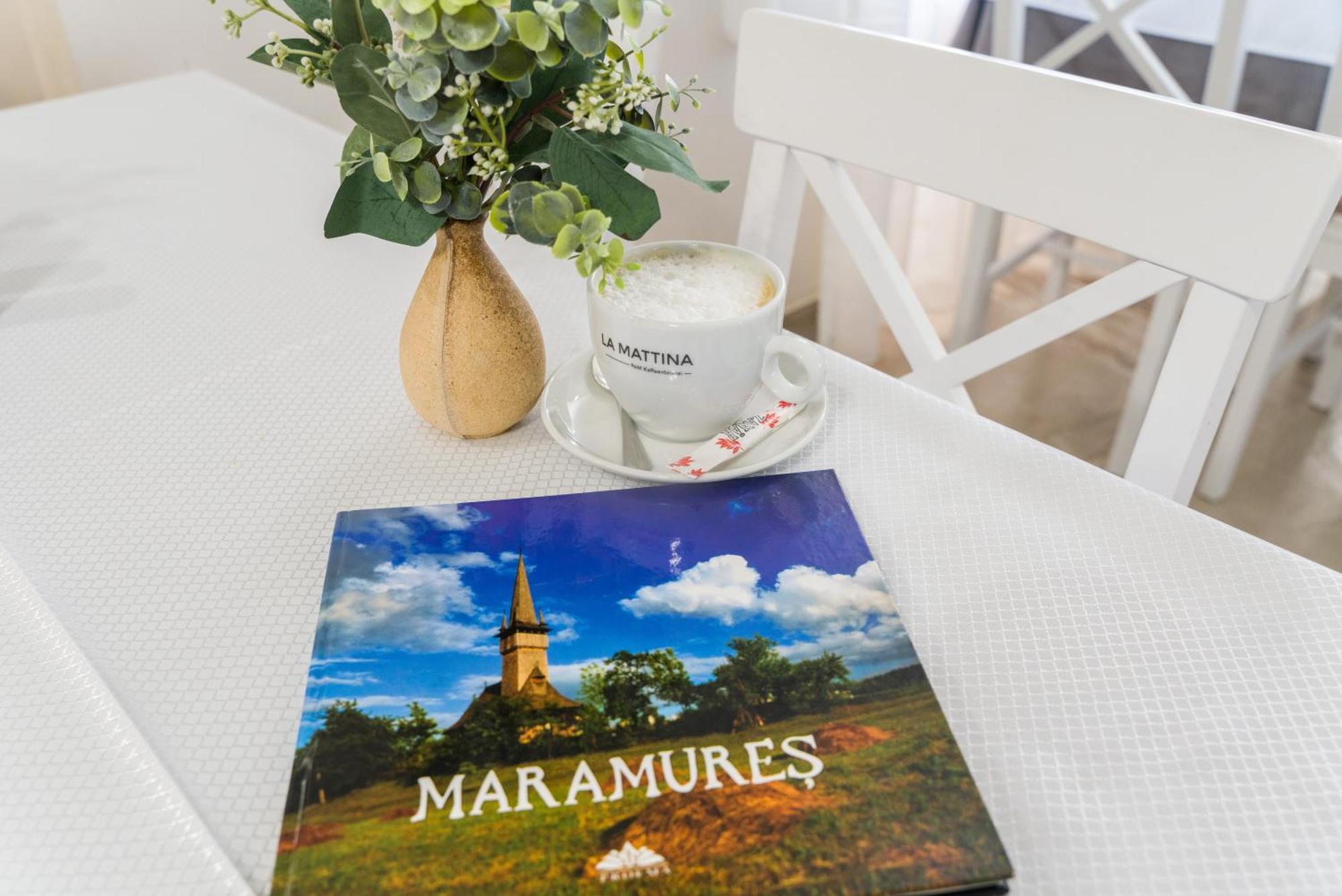 Pensiunea Roca Maramures Deseşti Extérieur photo